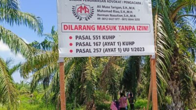 Aktivis Lingkungan Kecam Perusak Hutan Lindung di Kwala Langkat