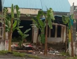 Kesal dengan Janji Manis Pj Bupati Langkat, Warga Tanam Pohon Pisang di Kantor Desa