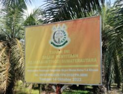 Netizen: Oknum DPRD Langkat Inisial DS Diduga Bekingi Perambah Kawasan SMKGLTL