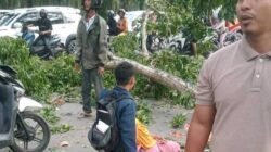Dahan Pohon di Stabat ‘Makan’ Korban, Warga: Copot Kadis LH Langkat